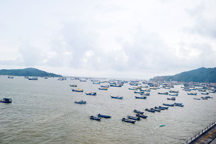 陽(yáng)江珍珠港