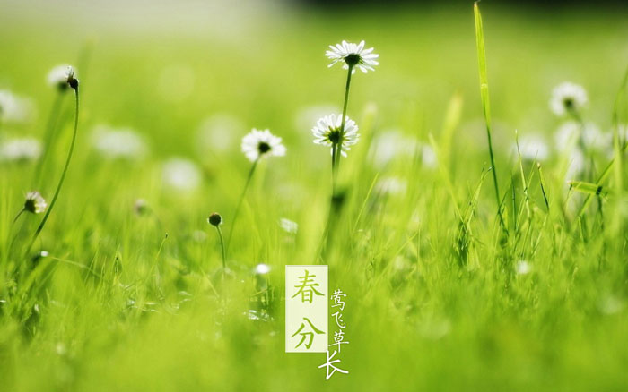 即便是春風(fēng)十里，依然不如你